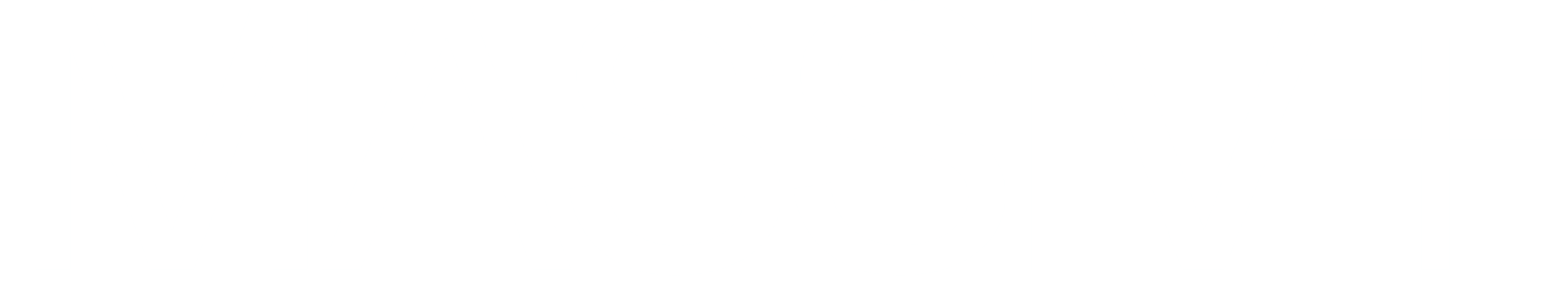 MASSIV+